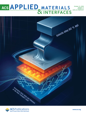 ACS Applied Materials & Interfaces