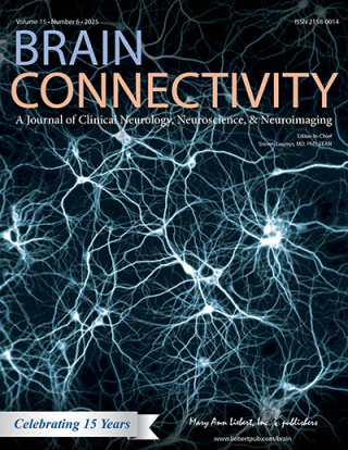 Brain Connectivity
