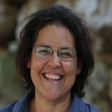 Tammar B Zilber